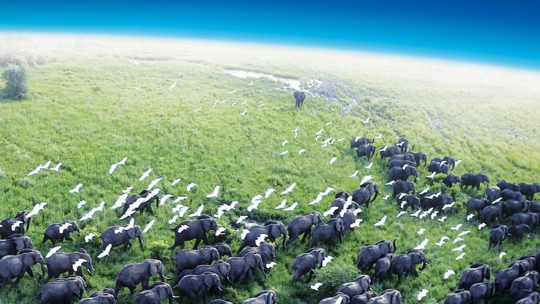 Planeta Tierra - Fondo