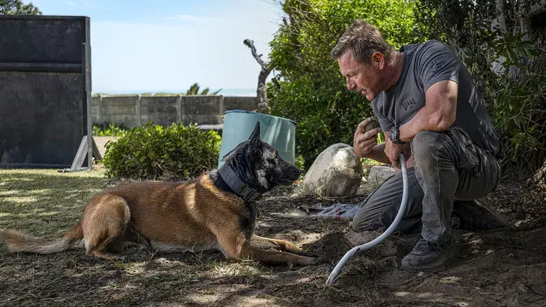 En busca de venganza 2: Ciudad de los lobos - Fondo