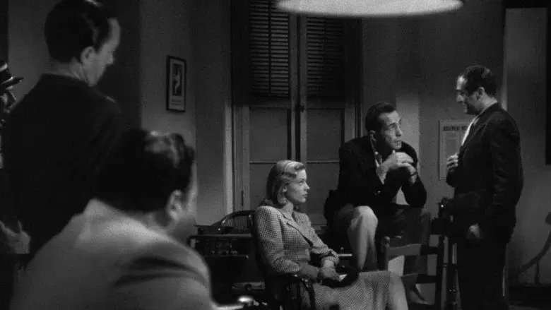 Tener y no tener - Fondo