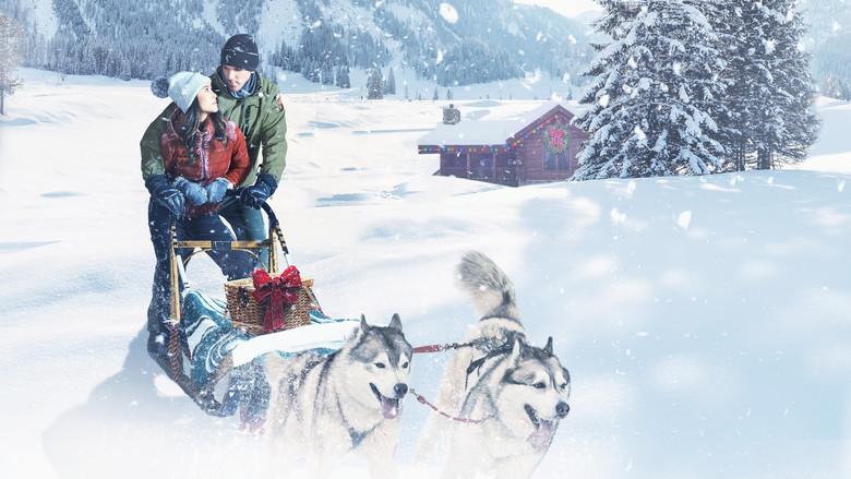 Christmas in the Wilds - Fondo