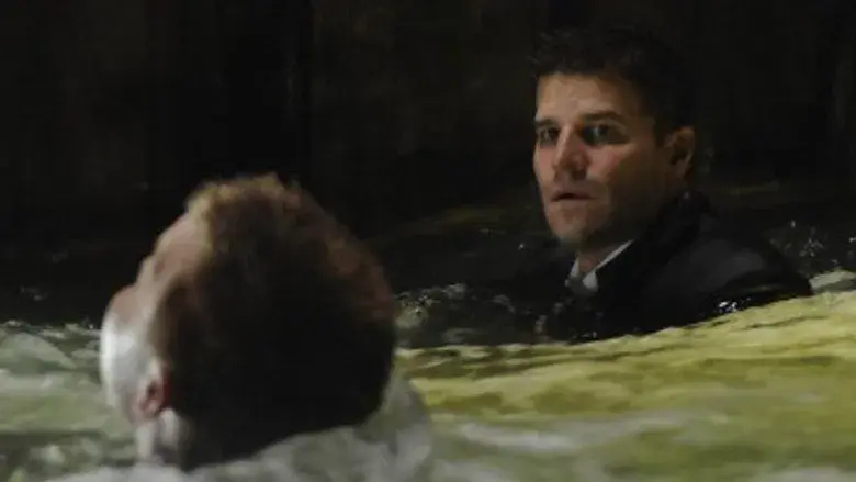 Un héroe en la bodega