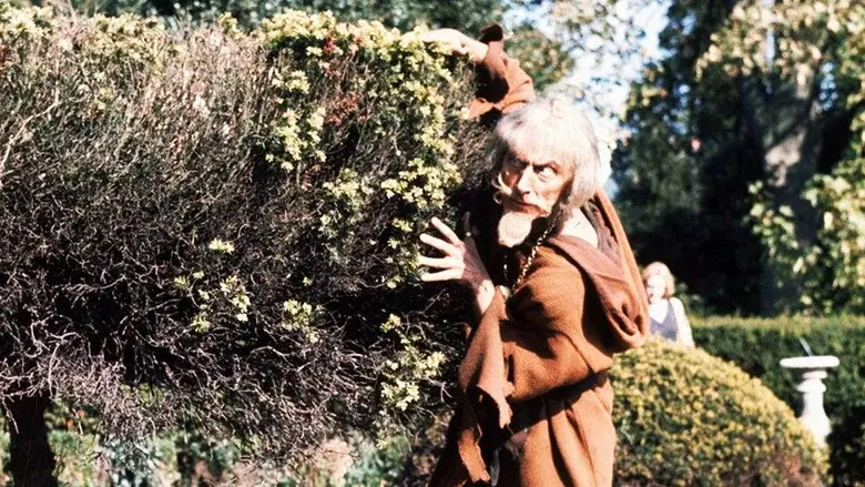 Catweazle - Fondo