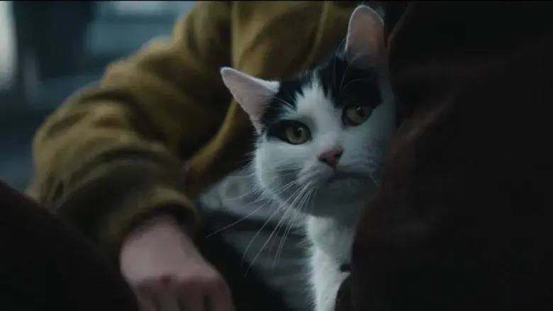 Un lugar tranquilo: Día uno - Fondo