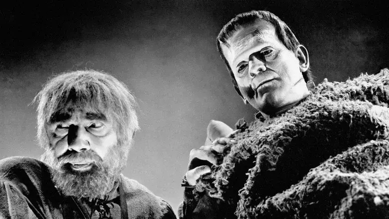 La sombra de Frankenstein - Fondo