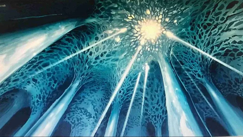 Nausicaä del valle del viento - Fondo