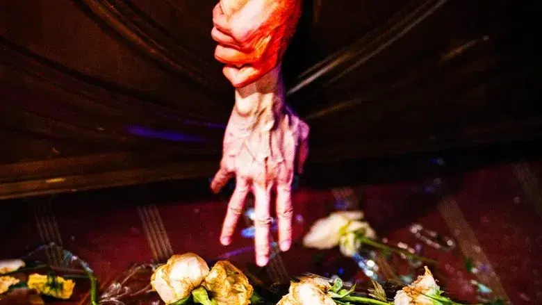 狂野时代 - Fondo