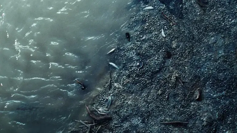 Pobres criaturas - Fondo