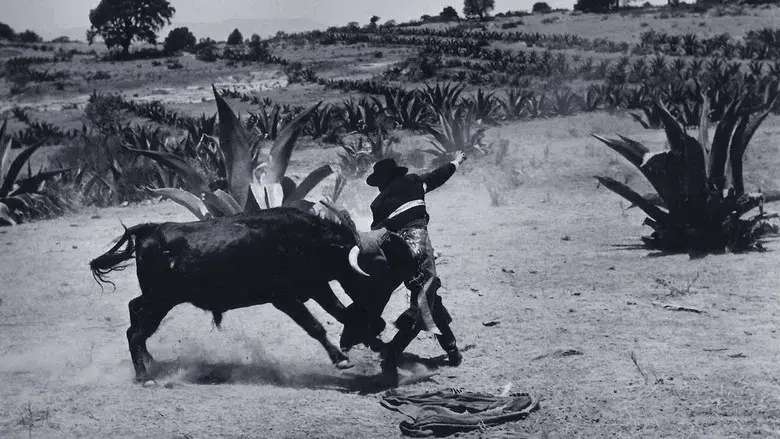 Mil caras tiene el amor - Fondo