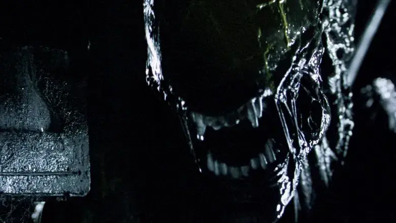 Alien vs. Predator - Fondo