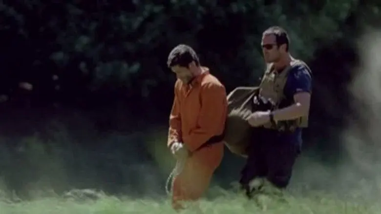 Episodio 7