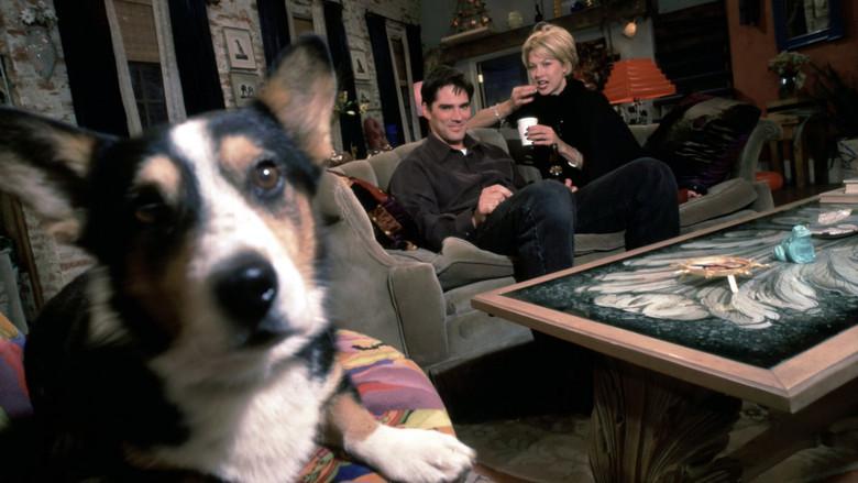 Dharma & Greg - Fondo