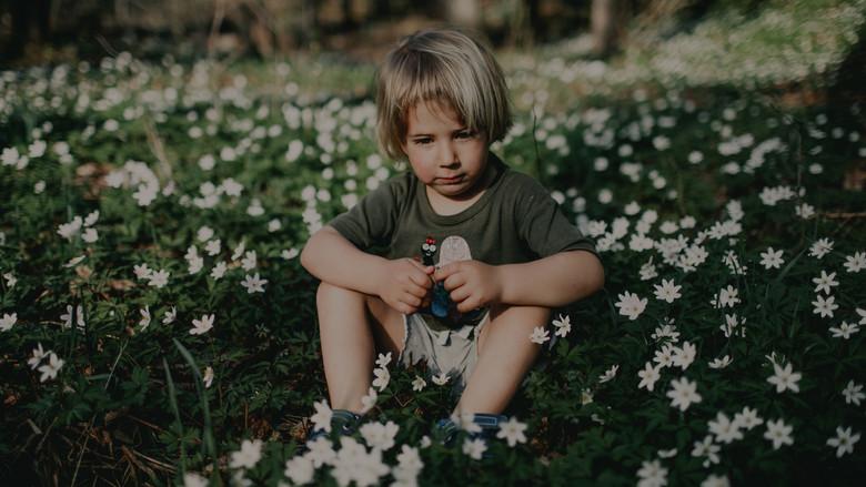 Ukjent landskap - Fondo