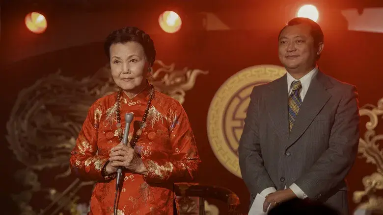 El simpatizante - Fondo