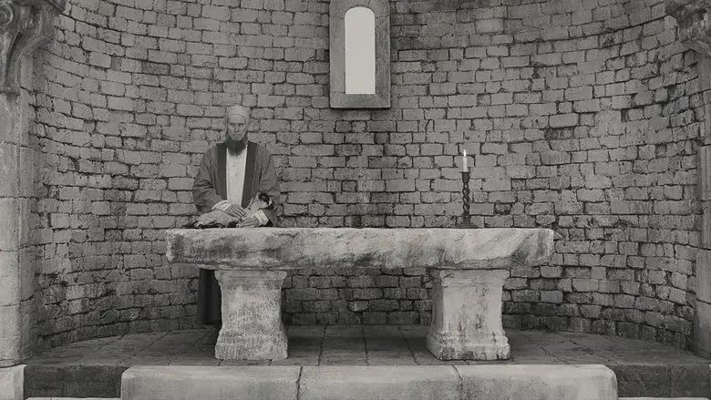 La trama fenicia - Fondo