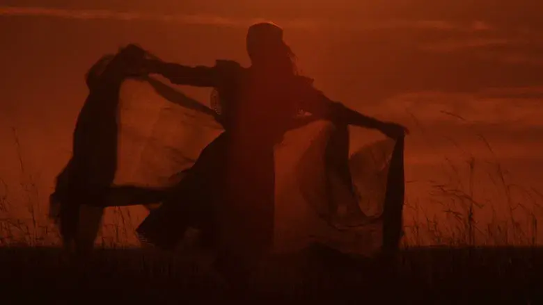 El color púrpura - Fondo