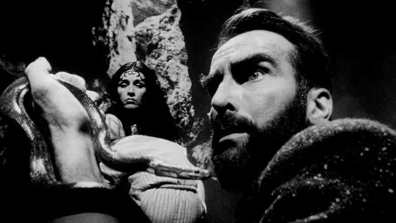 Freud, pasión secreta - Fondo