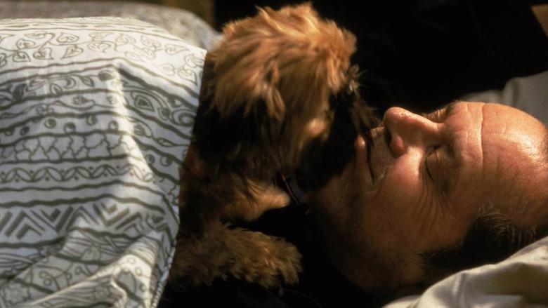 Mejor... imposible - Fondo