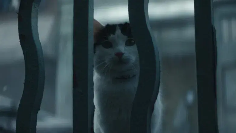 Un lugar tranquilo: Día uno - Fondo