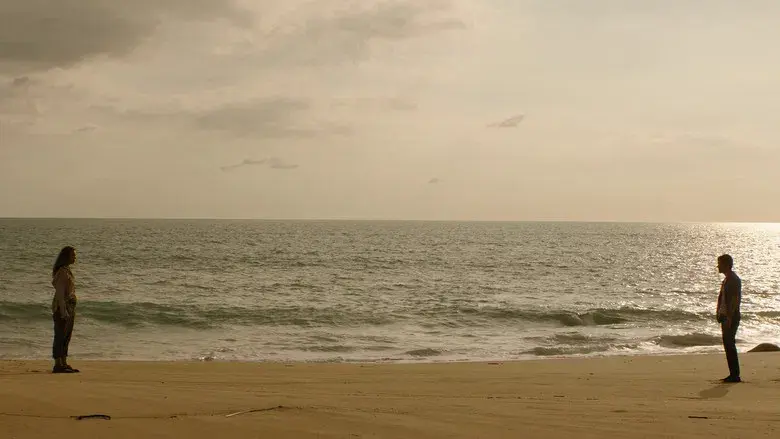 SEND HELP (Enviad ayuda) - Fondo