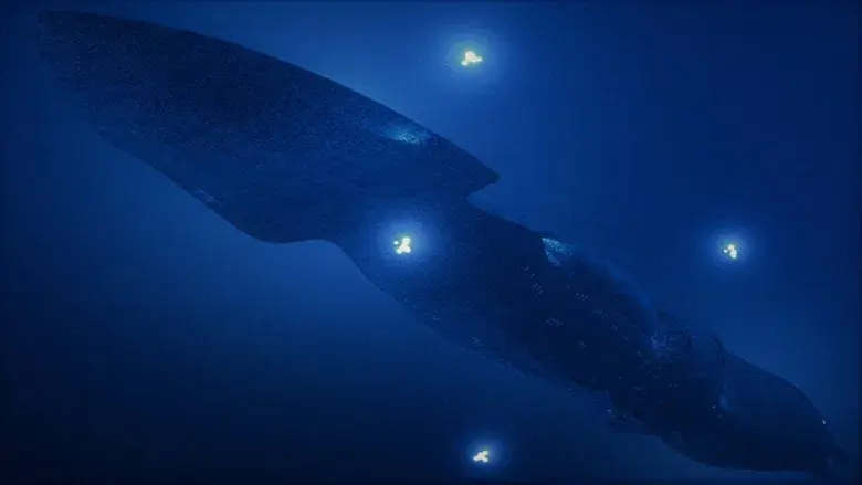 seaQuest DSV - Backdrop