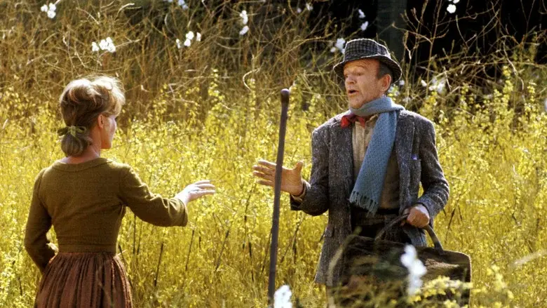 El valle del arco iris - Fondo