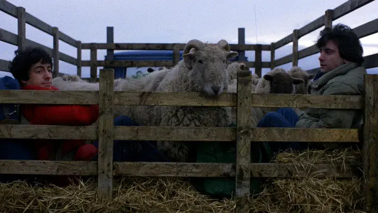 Un hombre lobo americano en Londres - Fondo