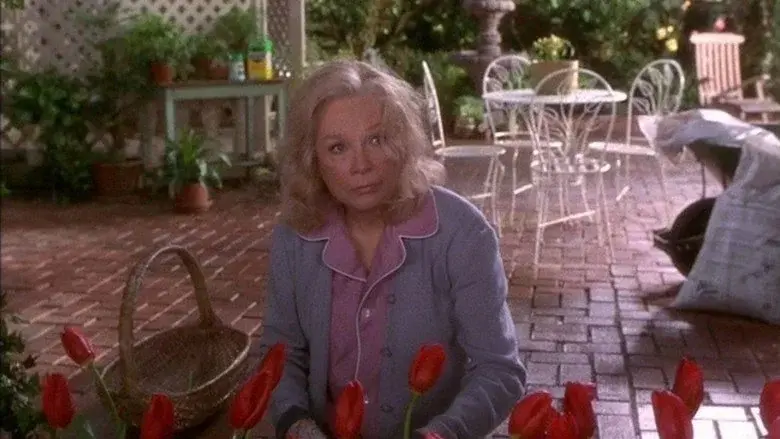 La fuerza del cariño: La historia continua - Fondo