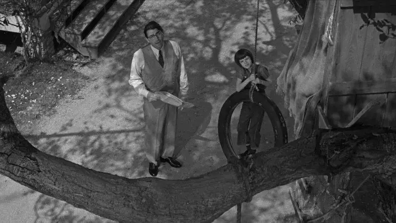 Matar a un ruiseñor - Fondo