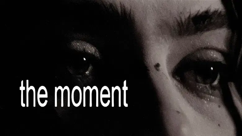 The Moment - Fondo