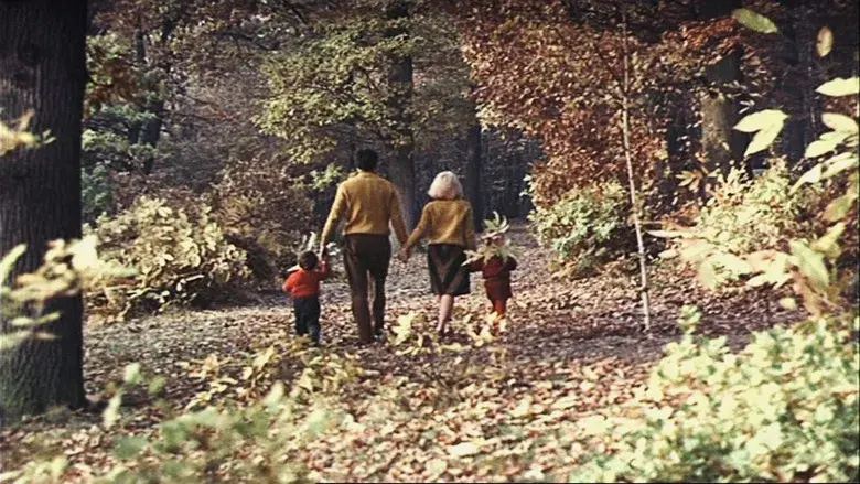 La felicidad - Fondo