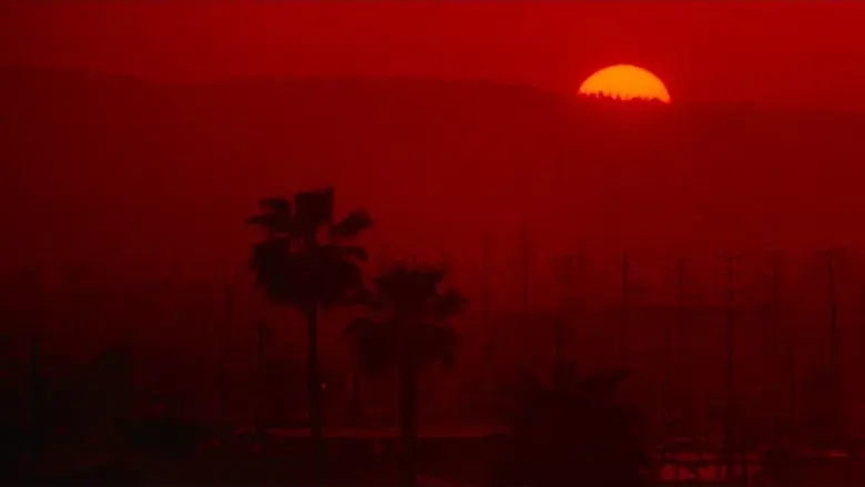 Vivir y morir en Los Ángeles - Fondo