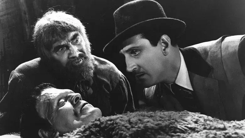 La sombra de Frankenstein - Fondo