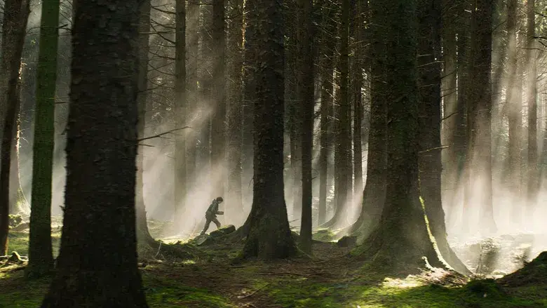 Cómo entrenar a tu dragón - Fondo