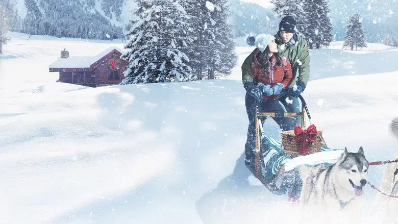 Christmas in the Wilds - Fondo