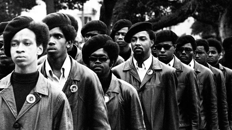 Black Panthers - Fondo