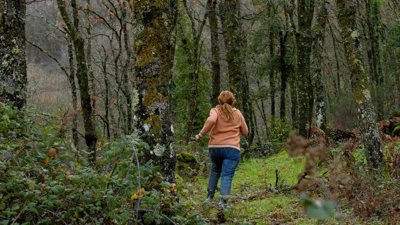 El cuco de cristal - Fondo