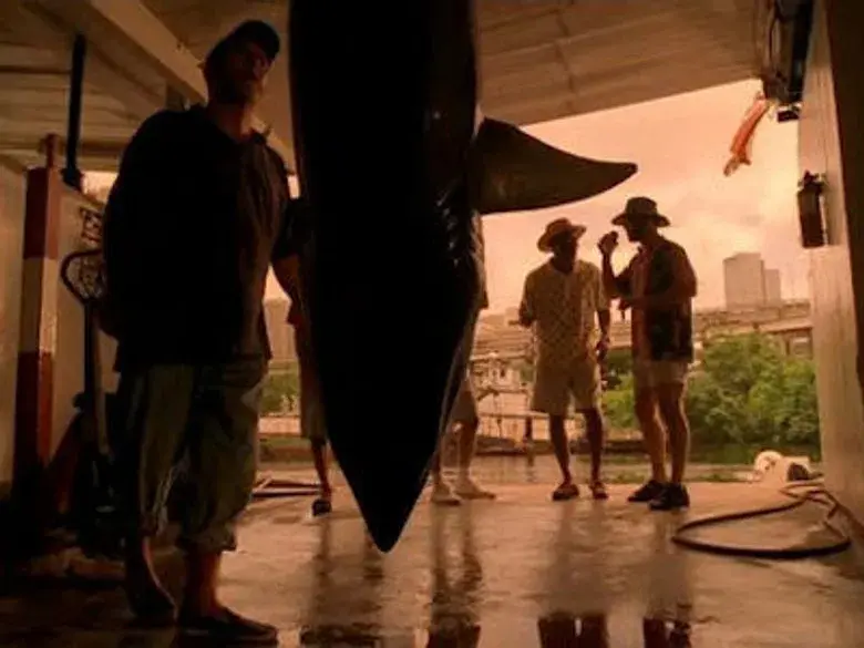 Pies mojados-pies secos