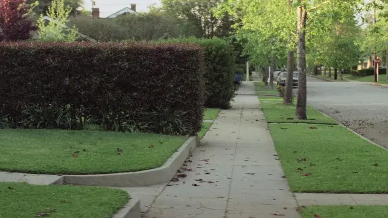 La noche de Halloween - Fondo