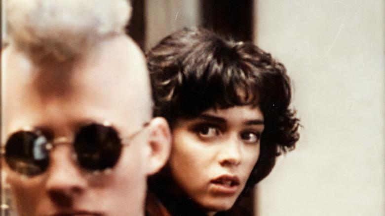 The Bronx Zoo - Fondo