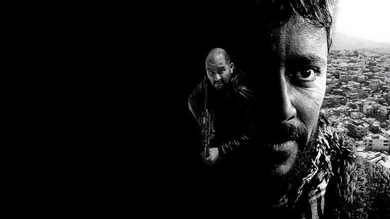 Fauda - Fondo