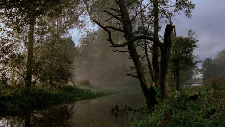 Conspiración de mujeres - Fondo