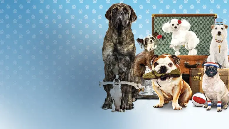 Hotel para perros - Fondo