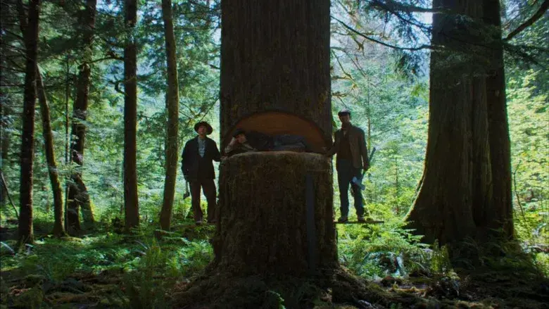 Sueños de trenes - Fondo