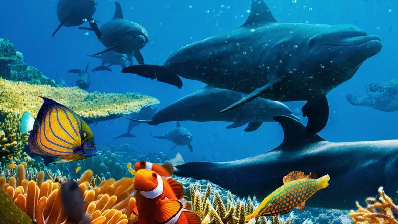 Océanos con David Attenborough - Fondo