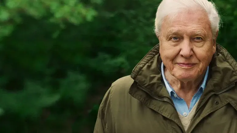 David Attenborough: Una vida en nuestro planeta - Fondo