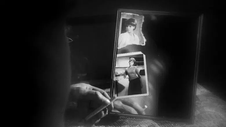 Who Killed Teddy Bear? - Fondo