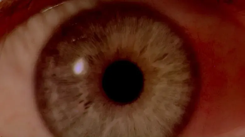 2001: una odisea del espacio - Fondo