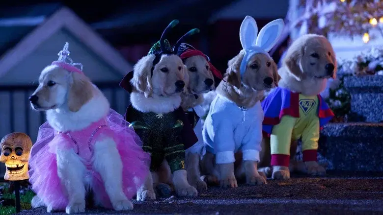 Truco, trato y Buddies - Fondo