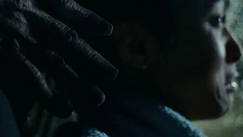 El pasajero nocturno - Fondo