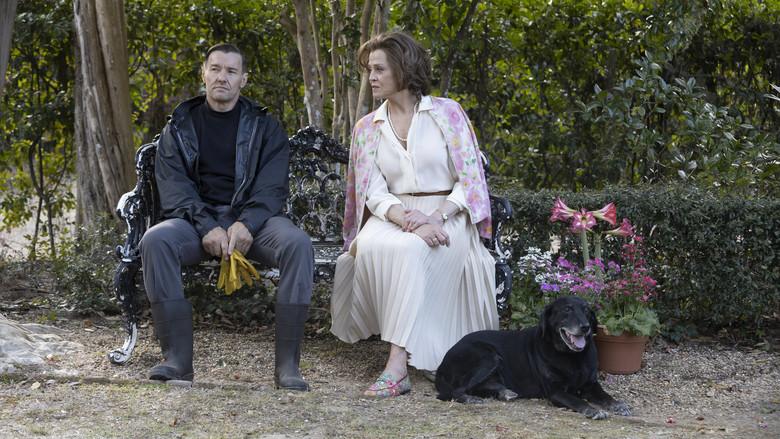 El maestro jardinero - Fondo